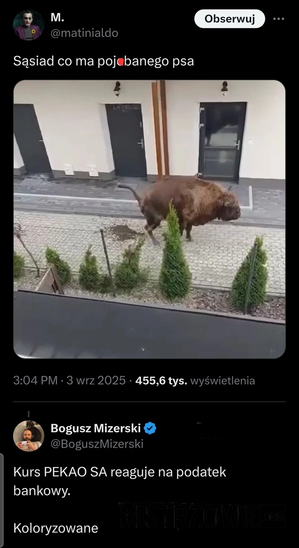 
    Zwierzę domowe