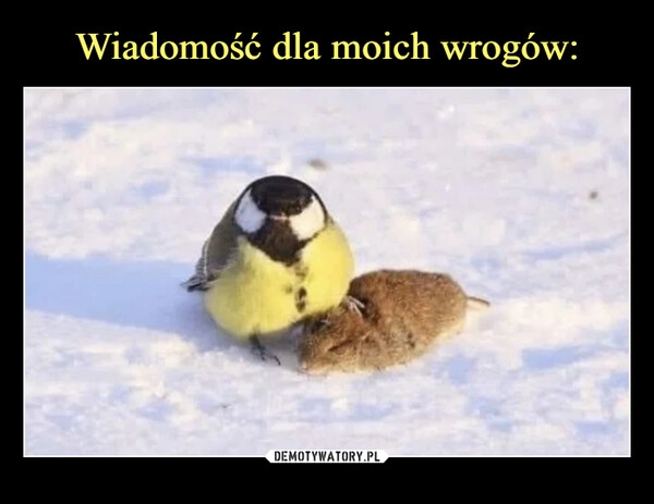 
    Wiadomość dla moich wrogów: 