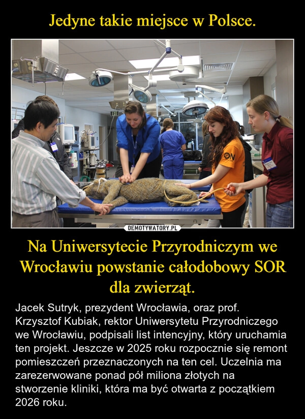 
    Jedyne takie miejsce w Polsce. Na Uniwersytecie Przyrodniczym we Wrocławiu powstanie całodobowy SOR dla zwierząt.