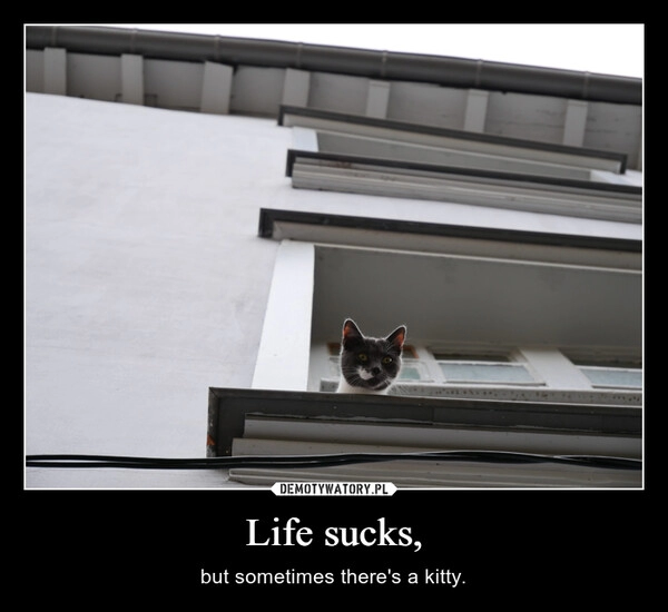 
    Life sucks,