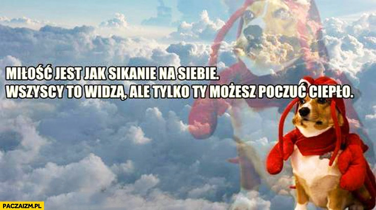 
    Miłość jest jak sikanie na siebie wszyscy to widzą ale tylko ty możesz poczuć ciepło