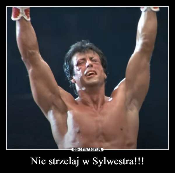 
    
Nie strzelaj w Sylwestra!!! 