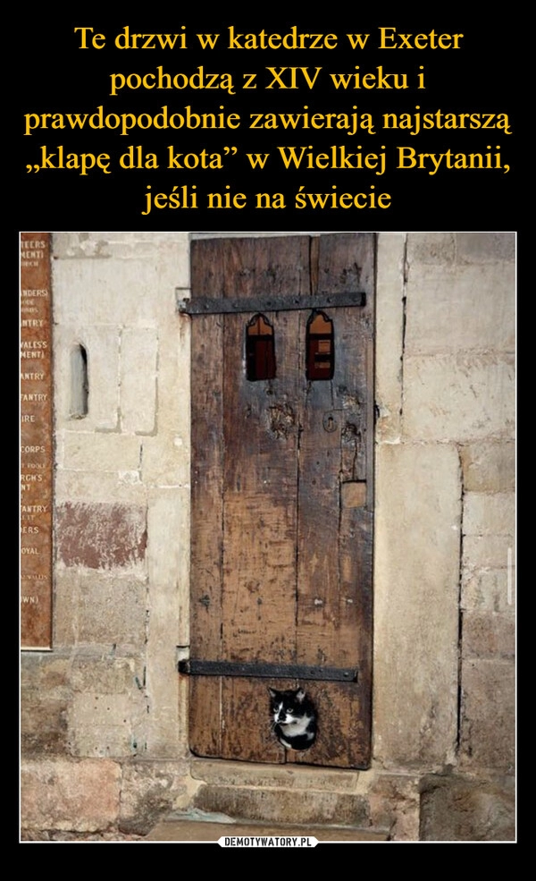 
    Te drzwi w katedrze w Exeter pochodzą z XIV wieku i prawdopodobnie zawierają najstarszą „klapę dla kota” w Wielkiej Brytanii, jeśli nie na świecie