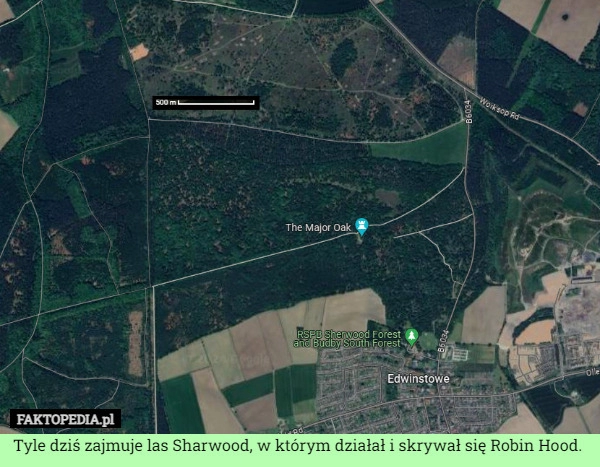 
    Tyle dziś zajmuje las Sharwood, w którym działał i skrywał się Robin Hood.