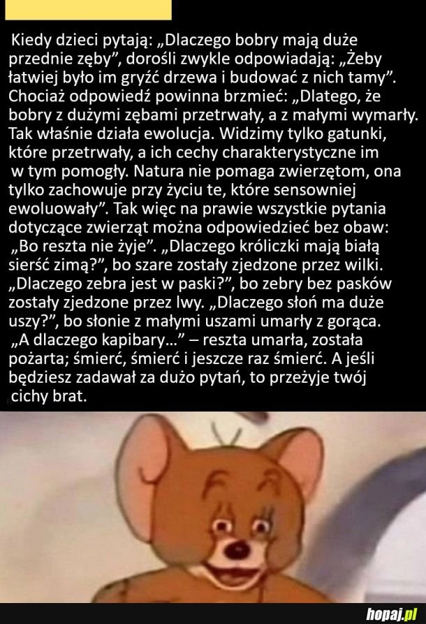 
    Odpowiedzi na dziecięce pytania