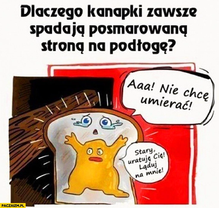 
    Dlaczego kanapki zawsze spadają posmarowaną stroną na podłogę