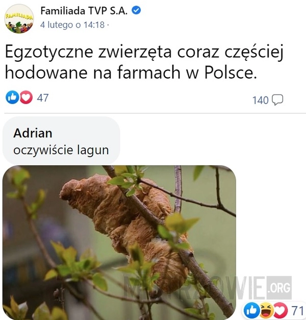 
    Egzotyczne zwierzęta