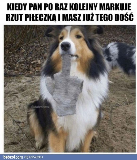 
    Kiedy masz już dość 