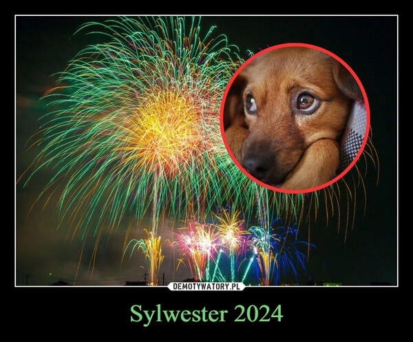 
    Sylwester 2024