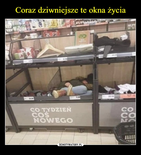 
    Coraz dziwniejsze te okna życia