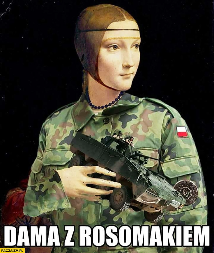 
    Dama z rosomakiem przeróbka dama z gronostajem