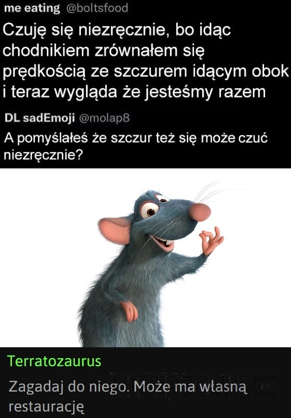 
    Szczur