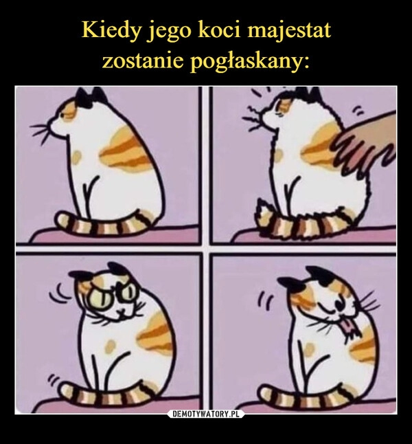 
    Kiedy jego koci majestat
zostanie pogłaskany: