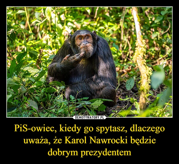 
    PiS-owiec, kiedy go spytasz, dlaczego uważa, że Karol Nawrocki będzie dobrym prezydentem