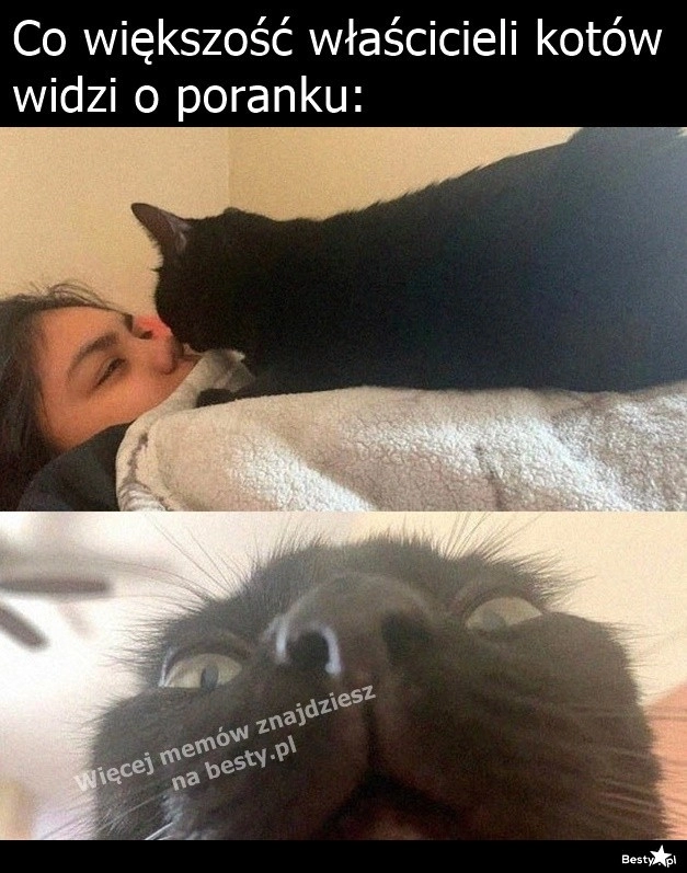 
    Pobudka! 