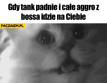 
    Gdy tank padnie i całe aggro z bossa idzie na Ciebie kot