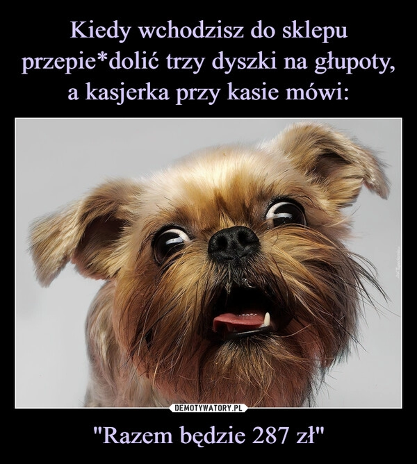 
    Kiedy wchodzisz do sklepu przepie*dolić trzy dyszki na głupoty, a kasjerka przy kasie mówi: "Razem będzie 287 zł"