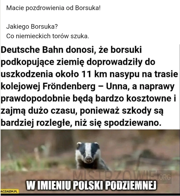 
    Pozdro od borsuka