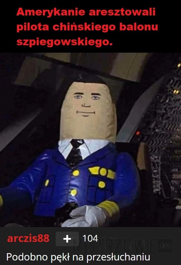 
    Pilot