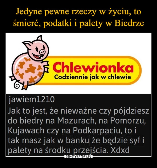 
    Jedyne pewne rzeczy w życiu, to śmierć, podatki i palety w Biedrze