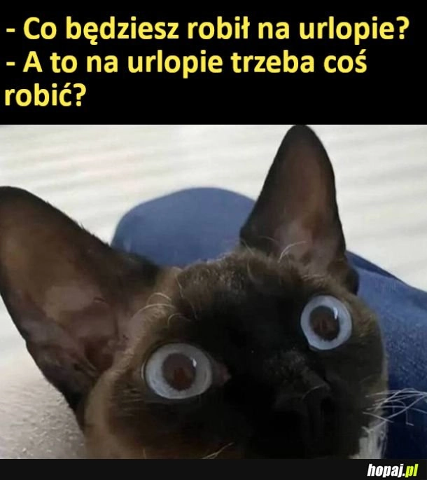
    Będę leżał
