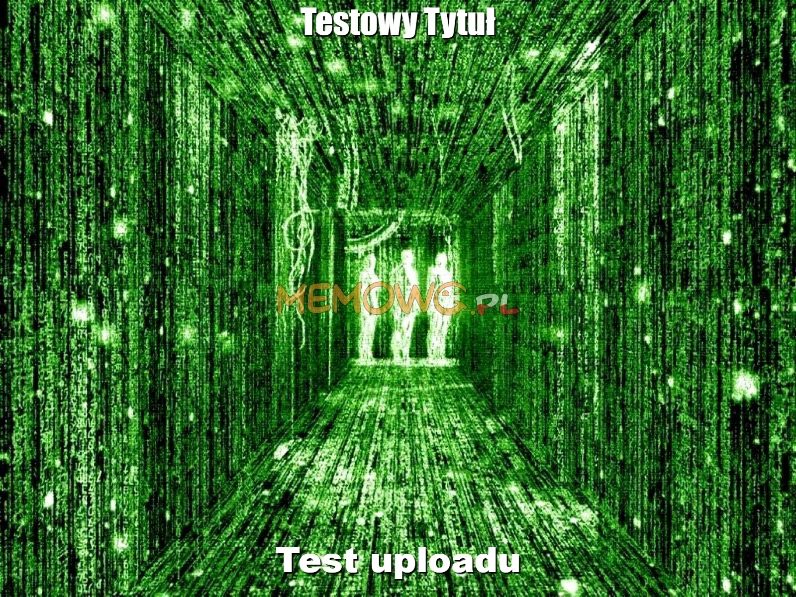 
    Testowy Tytuł