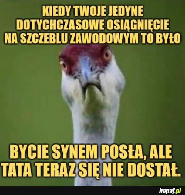 
    Czyli już nie mam osiągnięć.