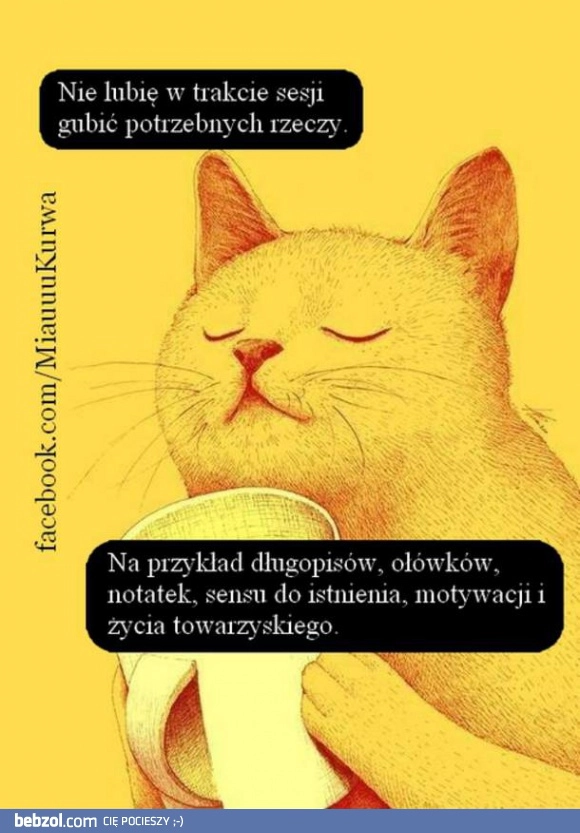 
    Co gubimy podczas sesji?