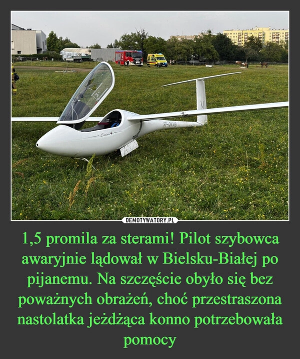 
    1,5 promila za sterami! Pilot szybowca awaryjnie lądował w Bielsku-Białej po pijanemu. Na szczęście obyło się bez poważnych obrażeń, choć przestraszona nastolatka jeżdżąca konno potrzebowała pomocy