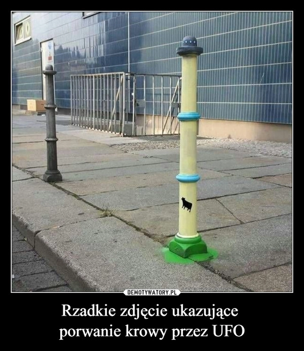 
    Rzadkie zdjęcie ukazujące 
porwanie krowy przez UFO