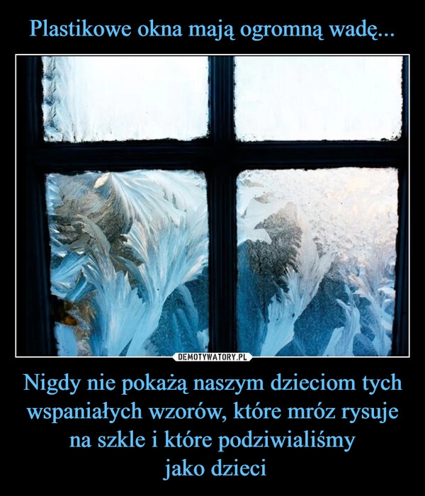 
    Plastikowe okna mają ogromną wadę... Nigdy nie pokażą naszym dzieciom tych wspaniałych wzorów, które mróz rysuje na szkle i które podziwialiśmy
 jako dzieci