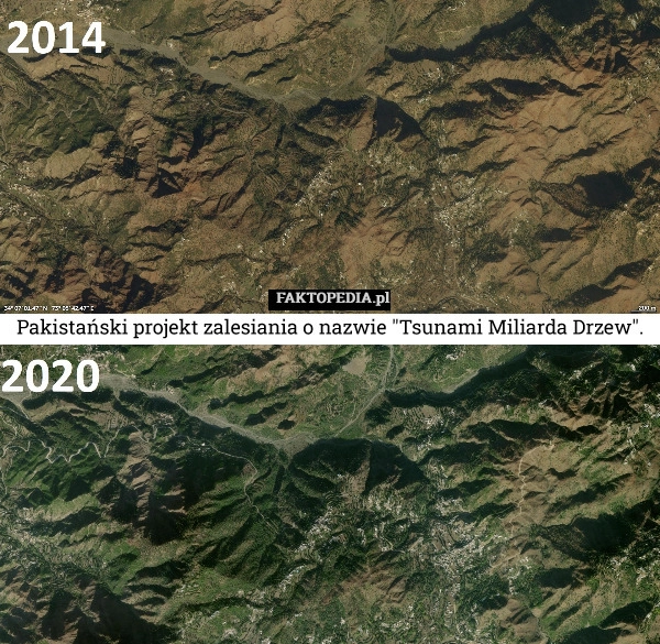 
    Pakistański projekt zalesiania o nazwie "Tsunami Miliarda Drzew".