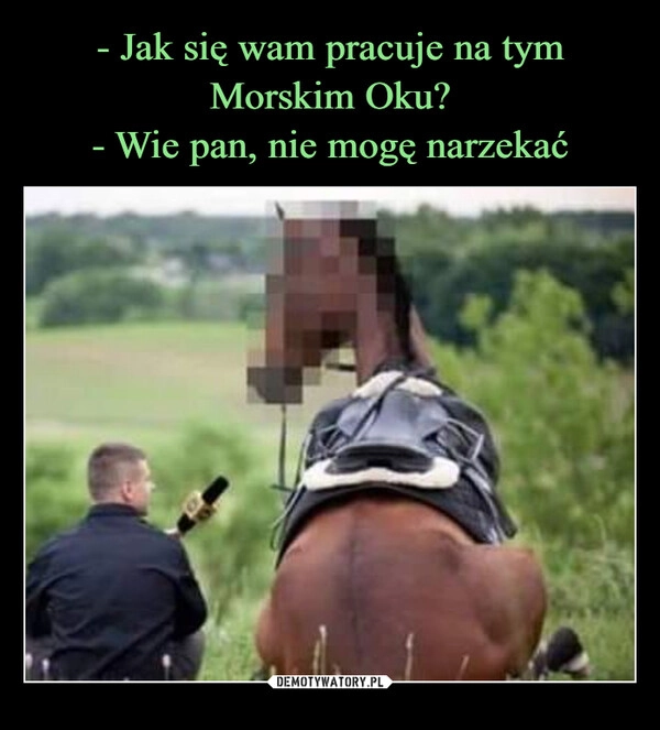 
    - Jak się wam pracuje na tym Morskim Oku?
- Wie pan, nie mogę narzekać