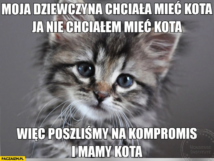 
    Moja dziewczyna chciała mieć kota, ja nie chciałem, więc poszliśmy na kompromis i mamy kota