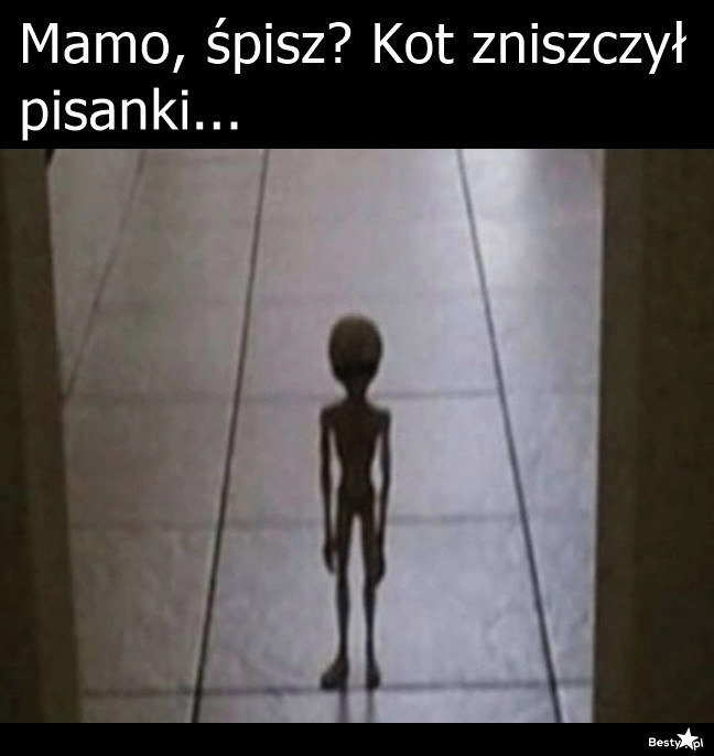 
    Już się dobrał 