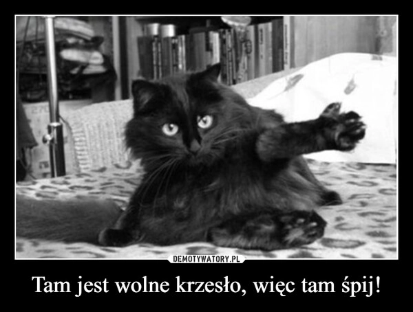 
    Tam jest wolne krzesło, więc tam śpij!