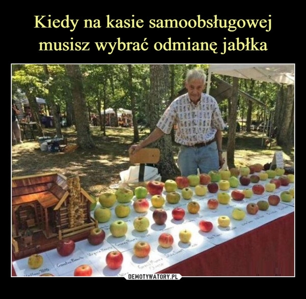 
    Kiedy na kasie samoobsługowej musisz wybrać odmianę jabłka