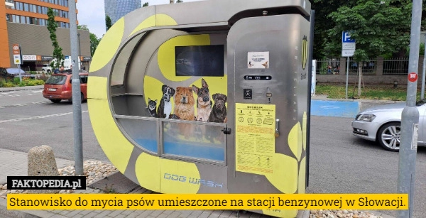 
    Stanowisko do mycia psów umieszczone na stacji benzynowej w Słowacji.