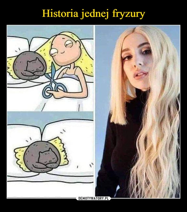 
    Historia jednej fryzury