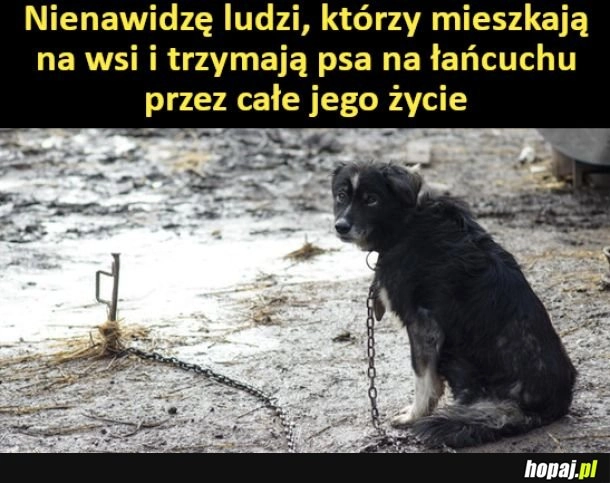 
    Nienawidzę takich ludzi