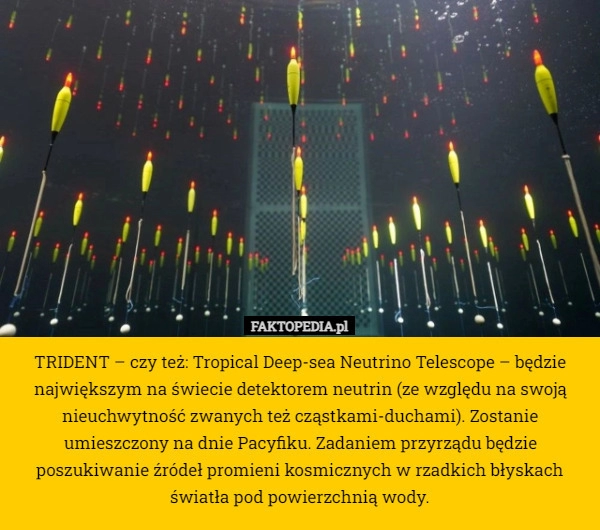 
    TRIDENT – czy też: Tropical Deep-sea Neutrino Telescope – będzie największym