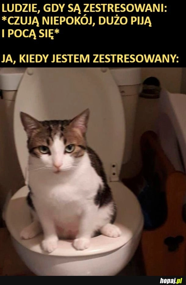 
    Kiedy jestem zestresowany