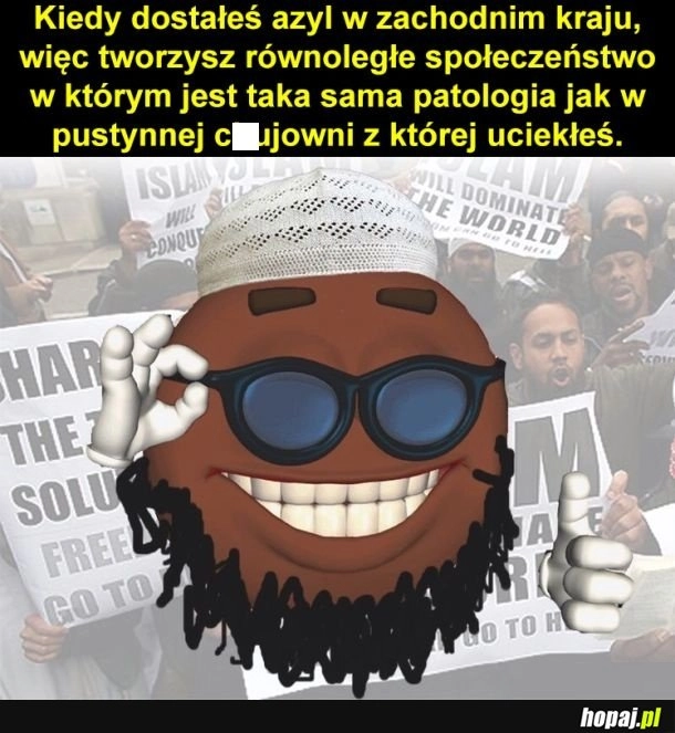 Cykl rozwoju