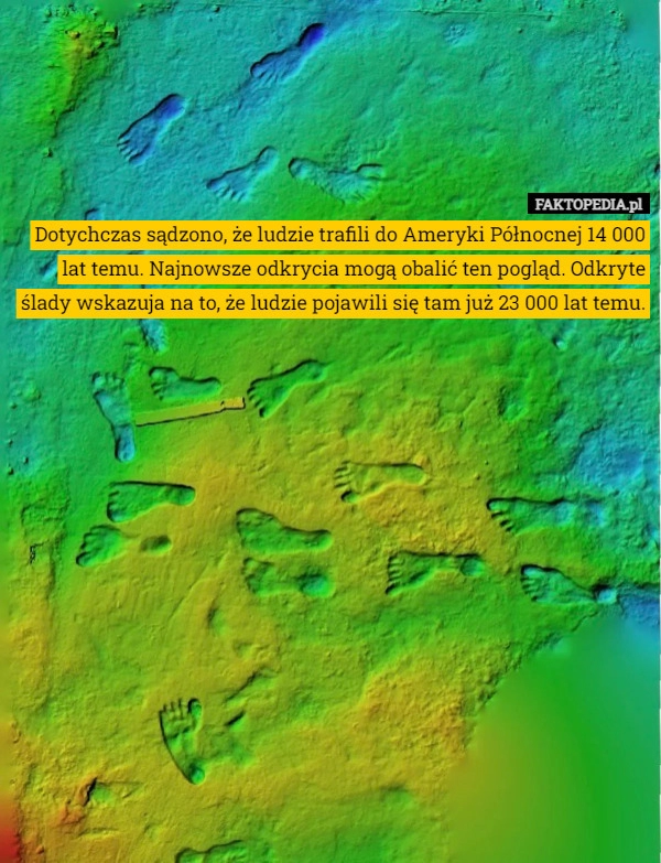 
    Dotychczas sądzono, że ludzie trafili do Ameryki Północnej 14 000 lat temu.