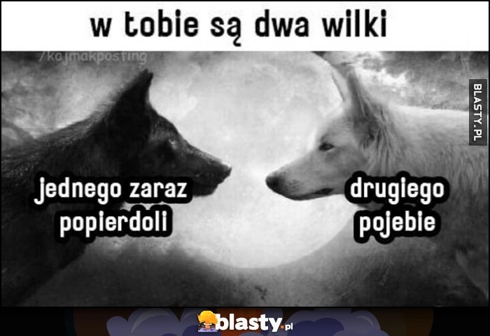 
    Są w tobie dwa wilki: jednego zaraz popierdzieli, drugiego pojedzie