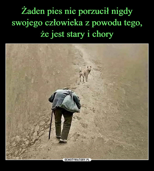 
    Żaden pies nie porzucił nigdy swojego człowieka z powodu tego, że jest stary i chory