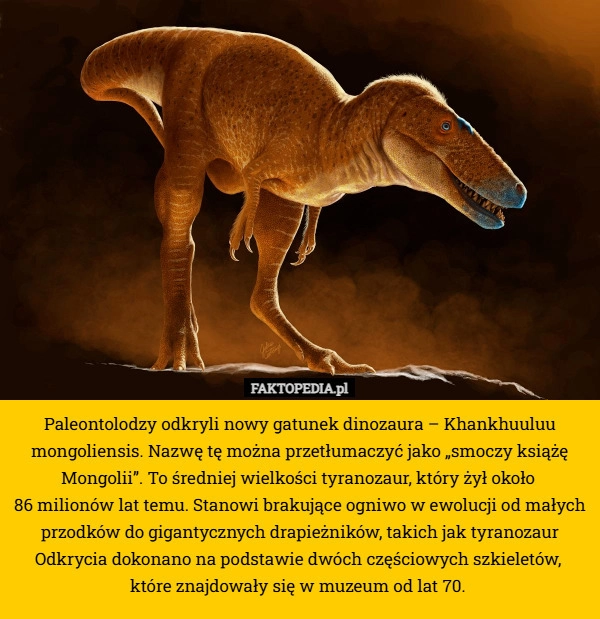 
    Paleontolodzy odkryli nowy gatunek dinozaura – Khankhuuluu mongoliensis.