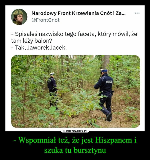 
    - Wspomniał też, że jest Hiszpanem i szuka tu bursztynu