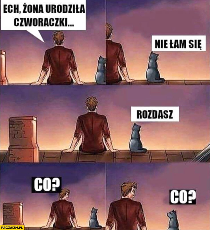 
    Żona urodziła czworaczki, kot: nie łam się rozdasz, co?