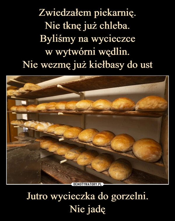 
    Zwiedzałem piekarnię.
Nie tknę już chleba.
Byliśmy na wycieczce
w wytwórni wędlin.
Nie wezmę już kiełbasy do ust Jutro wycieczka do gorzelni.
Nie jadę